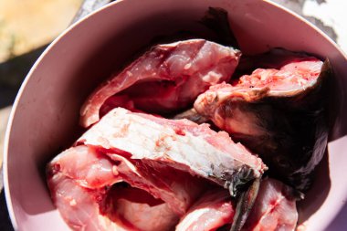 Bighead sazan balığının güneş ışığı altında bir tabakta yakın plan görüntüsü.