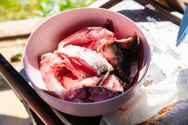 Bighead sazan balığının güneş ışığı altında bir tabakta yakın plan görüntüsü.