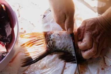 Balıklara yakın çekim ve bıçakla insan eli teraziyi kaldırır ve balığın içini temizler.