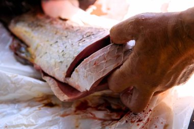 Balıklara yakın çekim ve bıçakla insan eli teraziyi kaldırır ve balığın içini temizler.