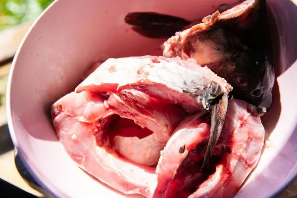 stock image Close-up of pieces of bighead carp in a plate under sunlight