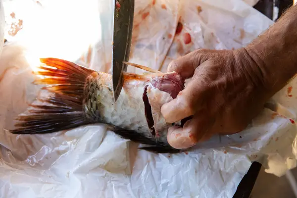 stock image Close-up of fish and a human hand with a knife removing scales and gutting the fish - Preparing fresh fish for cooking