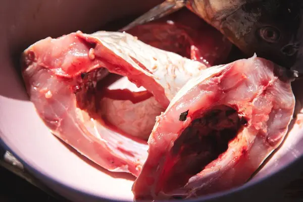 stock image Close-up of pieces of bighead carp in a plate under sunlight