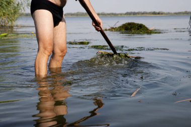 Güneşli bir günde Algae 'den Pitchfork' la İç Çamaşırlı Adam Sahil Hattı