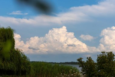 Mavi gökyüzü, yemyeşil bitki örtüsü ve canlı çiçeklerle dolu güzel bir su kütlesi. Ev dekorasyonu ve duvar kağıdı için mükemmel..