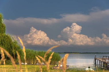Mavi gökyüzü, yemyeşil bitki örtüsü ve canlı çiçeklerle dolu güzel bir su kütlesi. Ev dekorasyonu ve duvar kağıdı için mükemmel..
