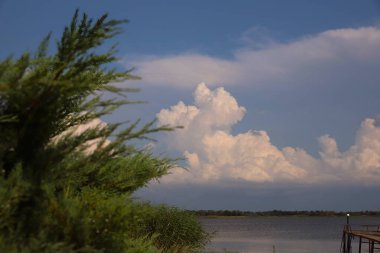Mavi gökyüzü, yemyeşil bitki örtüsü ve canlı çiçeklerle dolu güzel bir su kütlesi. Ev dekorasyonu ve duvar kağıdı için mükemmel..