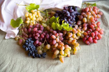 Gri bir masa örtüsüne dayanan Üzümlerin Çeşitli Renkleri ve Çeşitleri