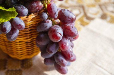 Sarı ve Mavi Üzüm Kümeleri Güneş Işığının Altında Dinlenen, Yemeye Hazır