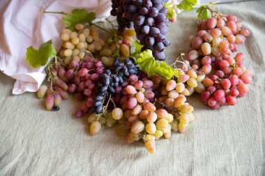 Gri bir masa örtüsüne dayanan Üzümlerin Çeşitli Renkleri ve Çeşitleri