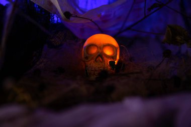 Ürkütücü bir gecede Kurukafa 'yla Korkunç Cadılar Bayramı Balkabağı. Cadılar Bayramı Sahnesi Balkabakları, Kurukafalar ve Neşeli Atmosfer İçin Örümcek Ağları