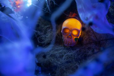 Ürkütücü bir gecede Kurukafa 'yla Korkunç Cadılar Bayramı Balkabağı. Cadılar Bayramı Sahnesi Balkabakları, Kurukafalar ve Neşeli Atmosfer İçin Örümcek Ağları