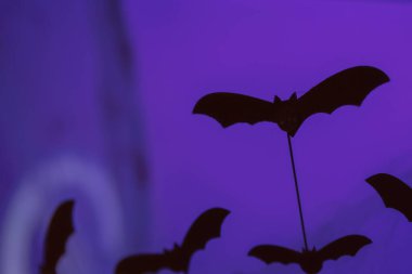 Mor arkaplanlı Cadılar Bayramı yarasaları