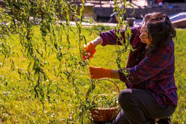 Bahçede Ağaç Budarken Telefonda Konuşan Genç Kadın