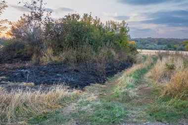 Smoke from a field fire: the consequences of a discarded cigarette butt. One cigarette can ignite a wildfire, threatening the ecosystem and polluting the air