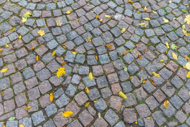 Radyal Desenli Dekoratif Taş Asfalt ve Merkez Yıldız Tasarımı