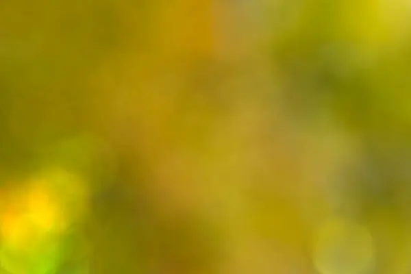 Yeşil ve Sarı Tonlu Bulanık Özgeçmiş, Bokeh