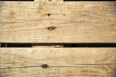 Wood Texture Close-Up with Soft Focus  Natural Background for Design and Decoration clipart