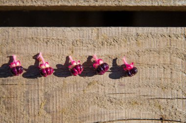 Small Phytolacca Berries on Wooden Texture under Sunlight  Natural Elements for a Decorative Background clipart