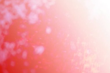 Bokeh ışığı ve Noel ağacının bulanık arkaplanı