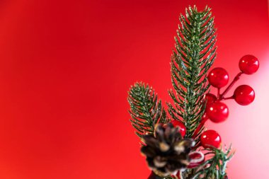 Çam dalları, kırmızı böğürtlenler ve Çam kozalağı ile Kartlar ve Metinler İçin Mükemmel