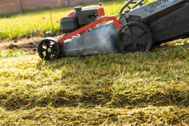 Lawnmower in Action Cutting Grass on a Sunny Day  Lawn Care and Gardening Concept clipart