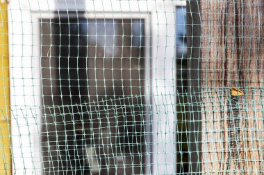 Close-Up of Green Mesh Fence with Blurred Background  Protective Netting for Outdoor Use clipart