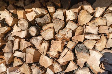 Yığılmış odun kütükleri güneş ışığıyla aydınlatılarak kırsal bir kış dokusu oluşturur.