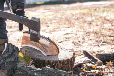 Güneşli bir günde Balta Vuruşu Uçan Tahta Parçacıklarıyla Odun Kırma Hareketi