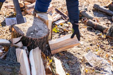 Güneşli bir günde Balta Vuruşu Uçan Tahta Parçacıklarıyla Odun Kırma Hareketi
