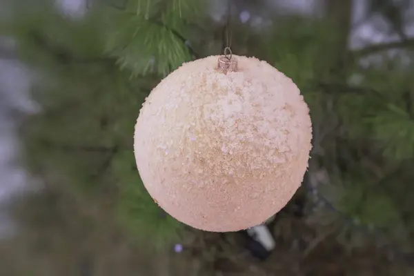 Karla kaplı beyaz Noel süsü, bir çam dalında asılı, şenlikli kış süsü.