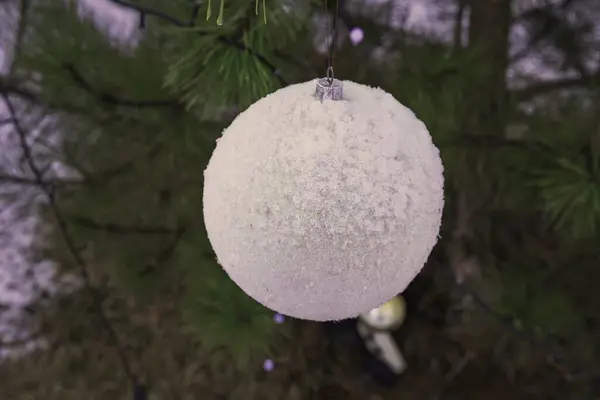 Karla kaplı beyaz Noel süsü, bir çam dalında asılı, şenlikli kış süsü.