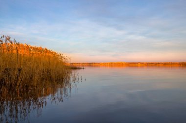 Gökyüzü yansıması ve ön planda sazlıklar olan sessiz bir gölün üzerinde gün batımı