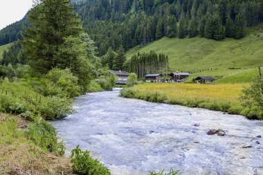 Yeşil bir ağacı, akan bir nehri ve yazın yuvarlanan tepeleri olan manzaralı bir kırsal bölge..