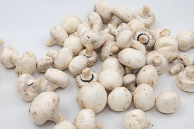 Beyaz arka planda izole edilmiş taze şampiyon mantarı yığını..