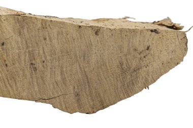 Kesilmiş odun kütüğü beyaz arka planda izole edildi