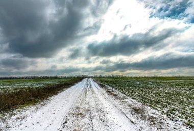Kış buğday tarlaları karla kaplı, kışın başında yeşil filizler.