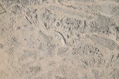 Doğal çatlaklara sahip beton doku ve Tasarım İçin Kabataslak Yüzey Özgeçmişi