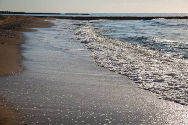 Okyanus dalgaları arka planda kayalık bir rıhtımla kumlu bir sahile yuvarlanıyor.