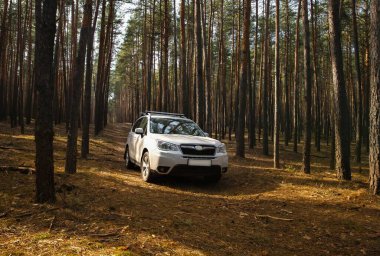 Kırmızı ve mor üçgen şekilli soyut geometrik desen