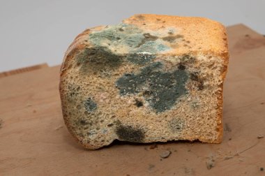 Ahşap bir yüzeyde küflü ekmek dilimi, bozulmuş gıda konsepti.