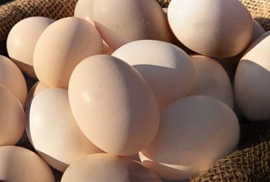 Çuval bezinde taze çiftlik yumurtalarının yakın çekimi, sıcak güneş ışığında doğal organik gıdalar.