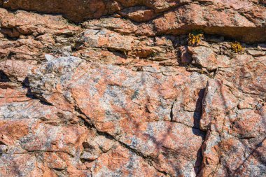 Doğal çatlaklar ve gölgeli pembe granit kaya dokusunun yakın çekimi, tasarım veya doğa temalı projeler için jeolojik arkaplan