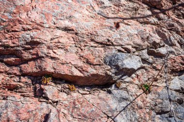 Doğal çatlaklar ve gölgeli pembe granit kaya dokusunun yakın çekimi, tasarım veya doğa temalı projeler için jeolojik arkaplan