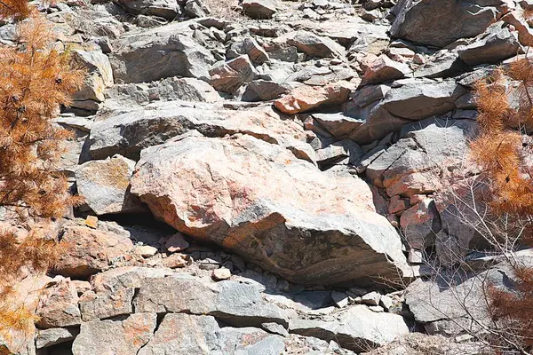 Turuncu mineral damarlı kaba gri granit kaya dokusuna yakın çekim, jeolojik veya soyut arkaplan kullanımı için doğal taş yüzeyi