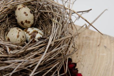 Tahta yüzeyde kuru dallardan yapılmış benekli yumurtaları olan kuş yuvası, ilkbahar doğa bileşimi.