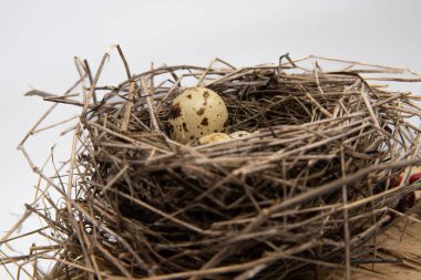 Tahta yüzeyde kuru dallardan yapılmış benekli yumurtaları olan kuş yuvası, ilkbahar doğa bileşimi.