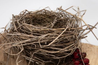 Ahşap yüzeydeki kuru dallardan yapılmış boş kuş yuvası, doğal bahar dekor elementi, yakın plan.