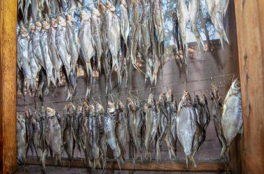 Geleneksel açık hava kurutma dolabı metal kancalarda asılı duran kurumuş balıklarla dolu.