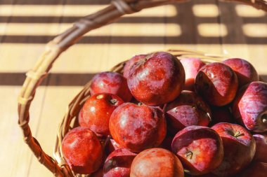 Sepette kırmızı elmalar, dantel torbada lavanta güneş ışığında ahşap zemin, sade sonbahar hayatı